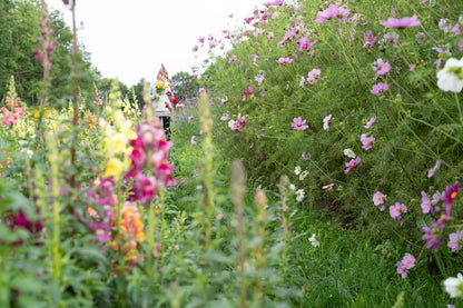 Blumengutschein